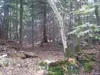 Bulle photo