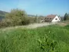 Bulle photo