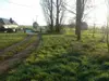Bulle photo