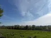 Bulle photo