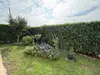 Bulle photo