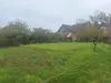 Bulle photo