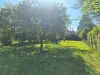Bulle photo