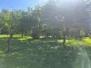 Bulle photo