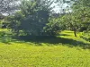 Bulle photo