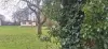 Bulle photo
