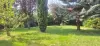 Bulle photo