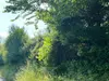 Bulle photo