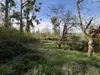 Bulle photo