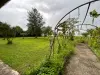 Bulle photo