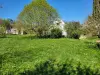 Bulle photo