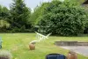 Bulle photo
