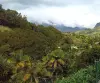 image du bien