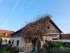 Vignette photo du bien
