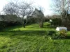 Bulle photo