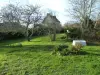 Bulle photo