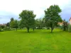 Bulle photo