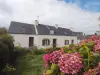 Vignette photo du bien