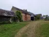 Bulle photo