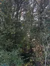 Vignette photo du bien