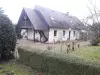 Bulle photo