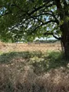 Bulle photo