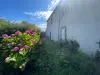 Bulle photo