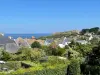 Vignette photo du bien