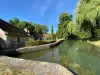 Vignette photo du bien