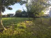 Vignette photo du bien