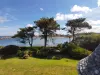 Vignette photo du bien