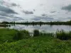 Vignette photo du bien