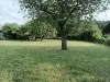 image du bien