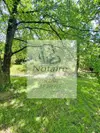 Bulle photo