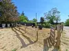 image du bien