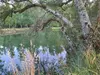 Vignette photo du bien
