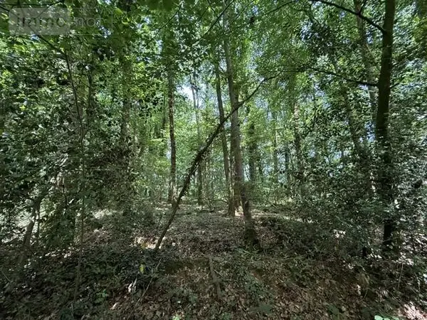 image de bien