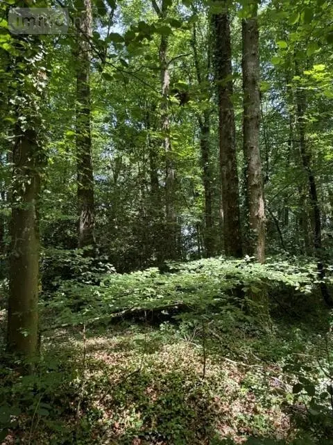 image de bien