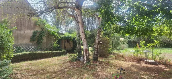 image de bien