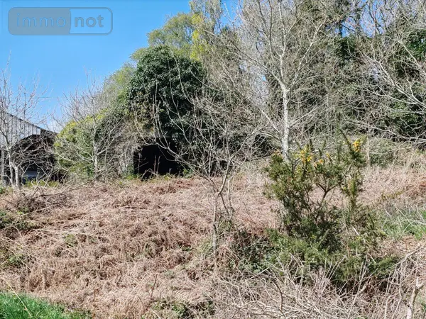 image de bien
