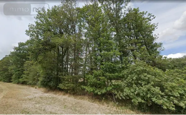 image de bien