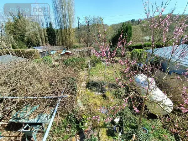 image-annonce