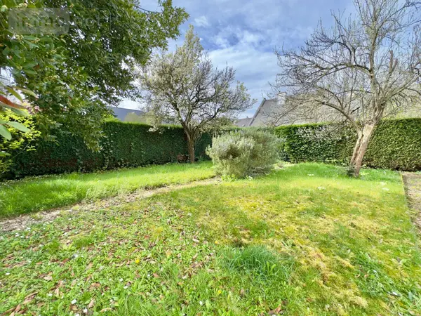 image-annonce