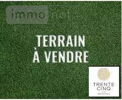 image-annonce