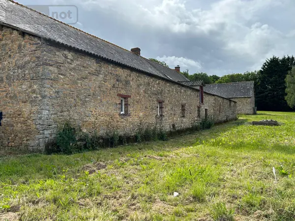 image-annonce