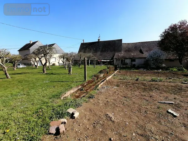 image-annonce