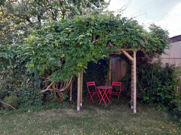 image-annonce