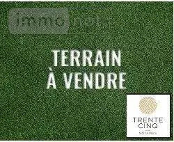 image-annonce