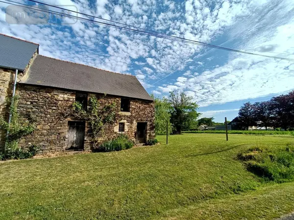 image-annonce