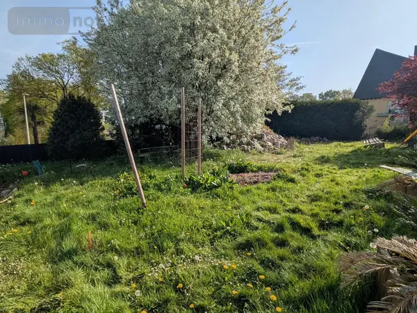 image-annonce